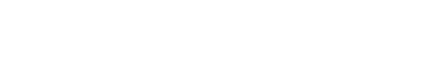 EndResult Logo